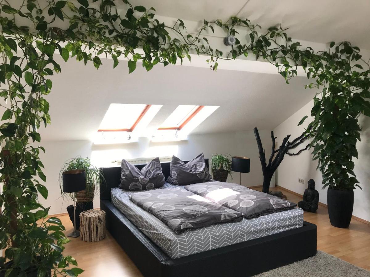 קוטבוס Stadtdschungel Fewo Mit Balkon מראה חיצוני תמונה