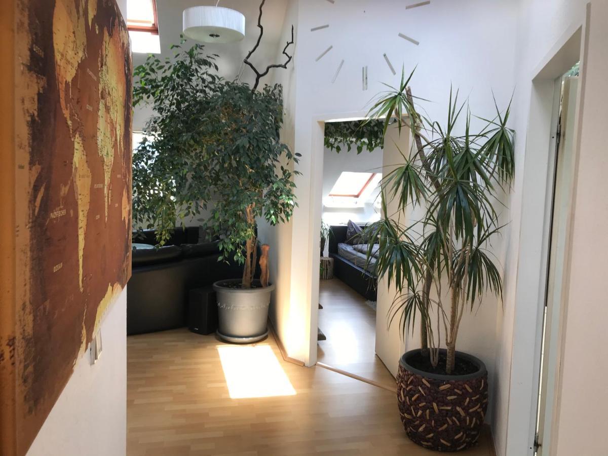 קוטבוס Stadtdschungel Fewo Mit Balkon מראה חיצוני תמונה