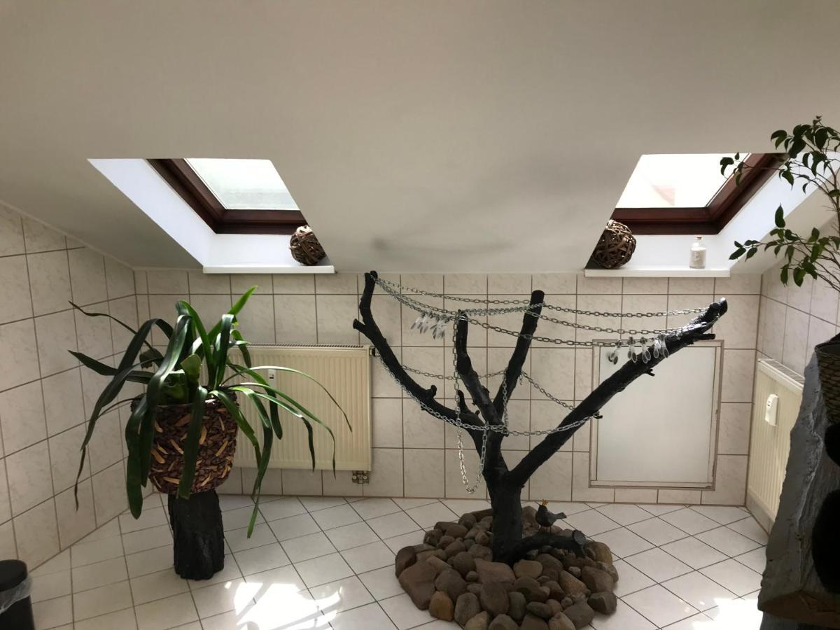 קוטבוס Stadtdschungel Fewo Mit Balkon מראה חיצוני תמונה